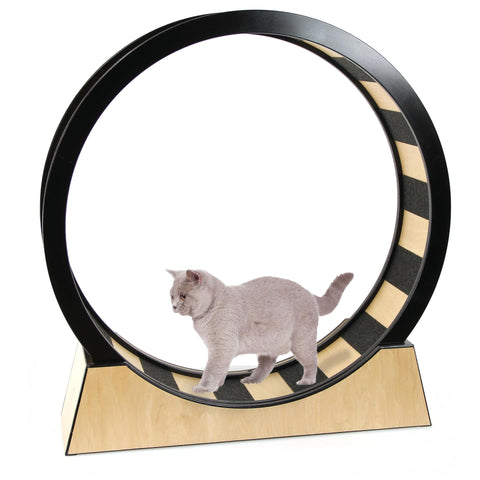   Katzenrad Monte Vigo, 110cm bester-kauf.ch