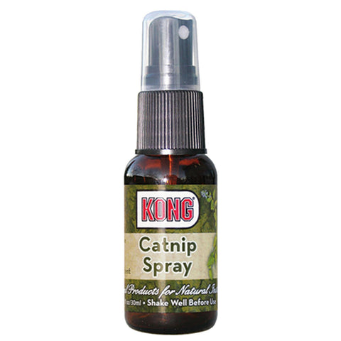   Catnip Spray bester-kauf.ch