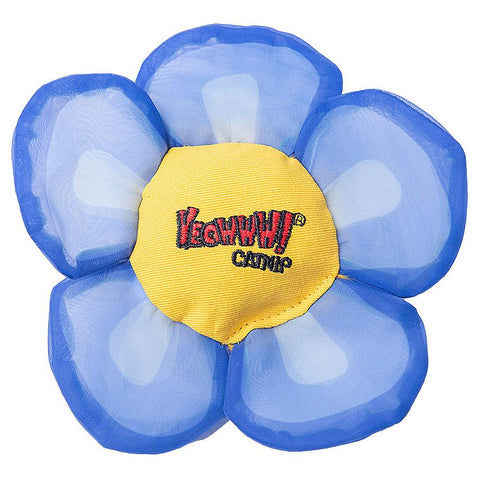   Daisy's Flower Tops Blue bester-kauf.ch