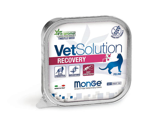   Cat Recovery 100g bester-kauf.ch