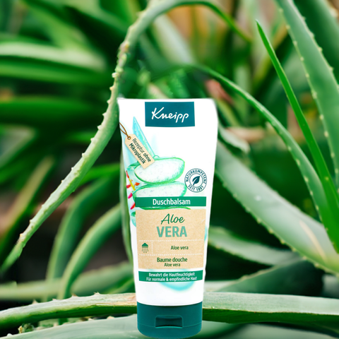 Duschgel Aloe Vera normale & empfindliche Haut - bester-kauf.ch  