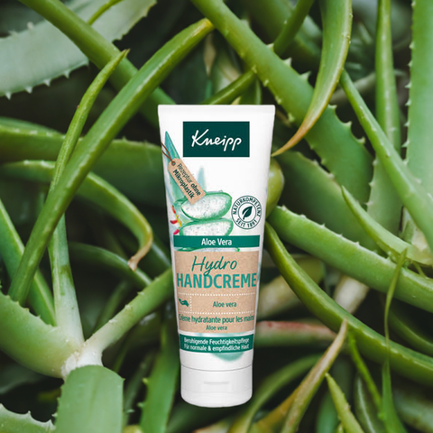 Handcreme Hydro Aloe Vera - bester-kauf.ch  