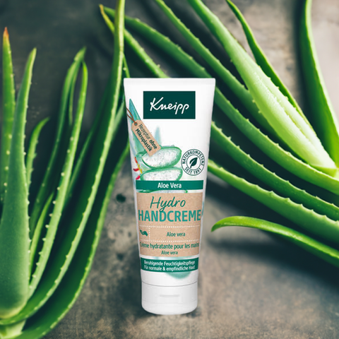 Handcreme Hydro Aloe Vera - bester-kauf.ch  