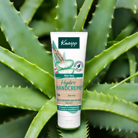 Handcreme Hydro Aloe Vera - bester-kauf.ch  